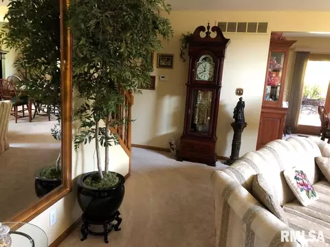 1 Heather Ct, Washington, IL 61571 photo 10
