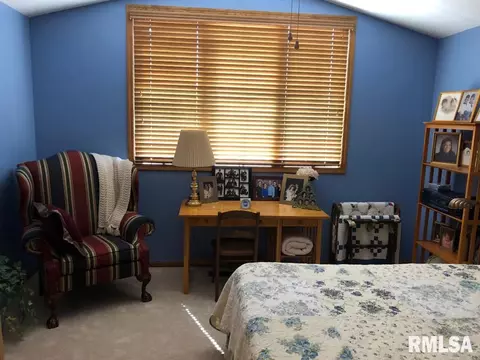 1 Heather Ct, Washington, IL 61571 photo 23