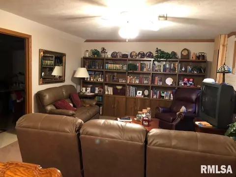 1 Heather Ct, Washington, IL 61571 photo 27