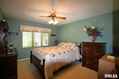 301 E Leo St, Eureka, IL 61530 photo 27