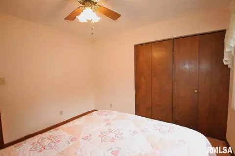 307 1st St, Congerville, IL 61729 photo 28
