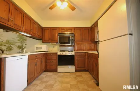 307 1st St, Congerville, IL 61729 photo 14