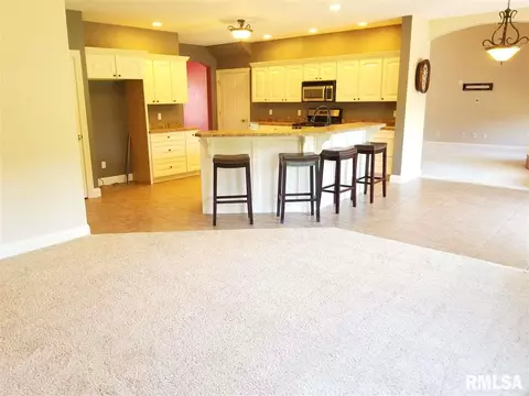 3309 S Thorncrest Ct, Mapleton, IL 61547 photo 11