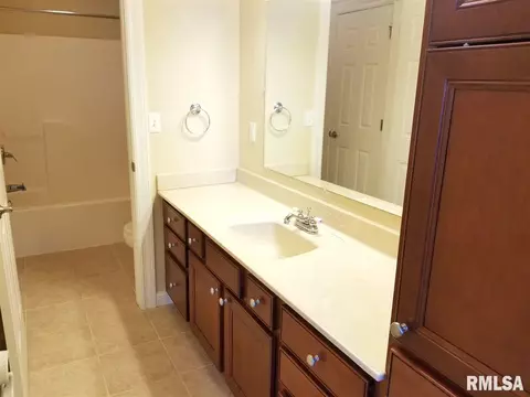 3309 S Thorncrest Ct, Mapleton, IL 61547 photo 30