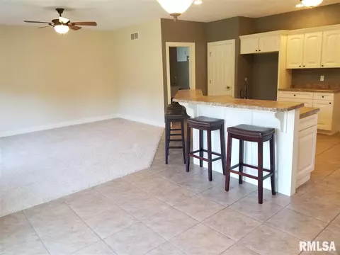 3309 S Thorncrest Ct, Mapleton, IL 61547 photo 10