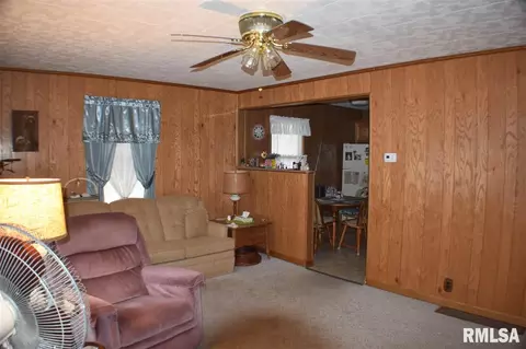 1092 E Ash St, Canton, IL 61520 photo 4