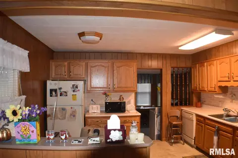 1092 E Ash St, Canton, IL 61520 photo 6