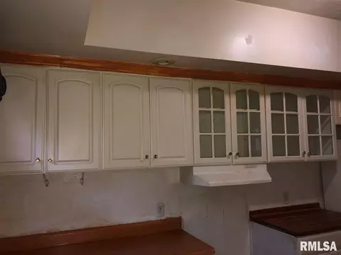 1221 Clark St, Lowpoint, IL 61545 photo 13