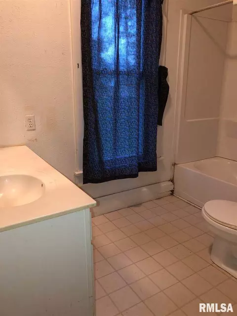 1221 Clark St, Lowpoint, IL 61545 photo 17