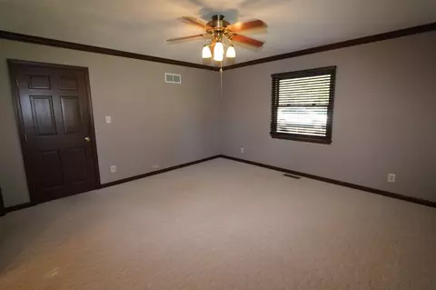 207 N Locust St, Delavan, IL 61734 photo 17