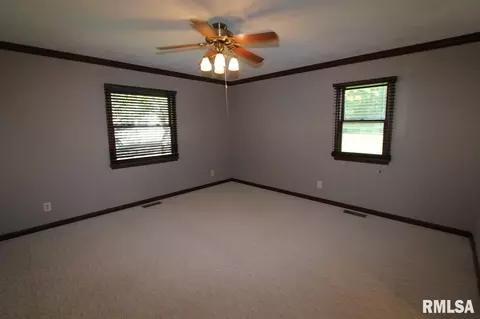 207 N Locust St, Delavan, IL 61734 photo 16