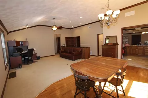 207 N Locust St, Delavan, IL 61734 photo 10