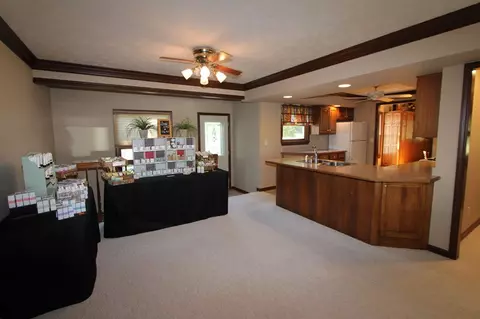 207 N Locust St, Delavan, IL 61734 photo 5