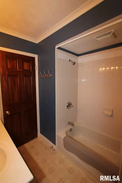207 N Locust St, Delavan, IL 61734 photo 25