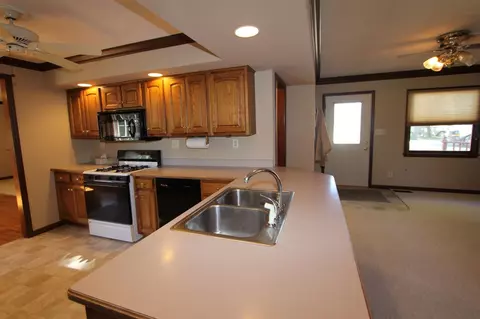 207 N Locust St, Delavan, IL 61734 photo 8