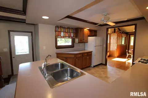 207 N Locust St, Delavan, IL 61734 photo 7
