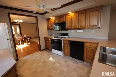 207 N Locust St, Delavan, IL 61734 photo 6