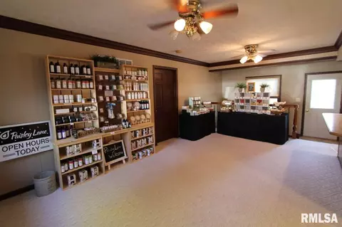 207 N Locust St, Delavan, IL 61734 photo 4