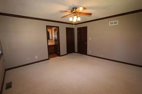 207 N Locust St, Delavan, IL 61734 photo 18