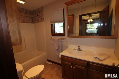 207 N Locust St, Delavan, IL 61734 photo 19