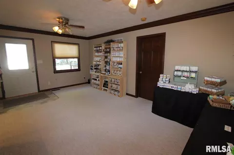 207 N Locust St, Delavan, IL 61734 photo 3