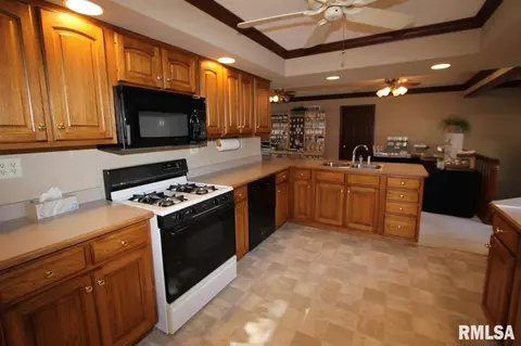 207 N Locust St, Delavan, IL 61734 photo 9