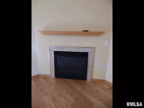 111 Easy St, Washington, IL 61571 photo 11