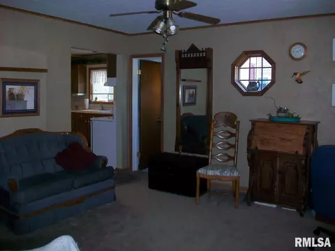 936 Elm St, Canton, IL 61520 photo 13