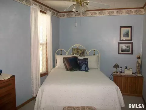 936 Elm St, Canton, IL 61520 photo 16