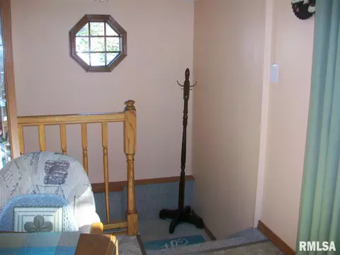 936 Elm St, Canton, IL 61520 photo 29