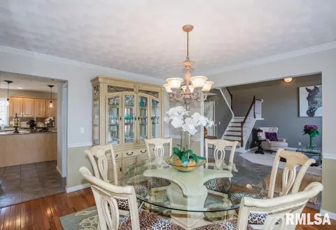 6006 W Deer Trace Ct, Dunlap, IL 61525 photo 10