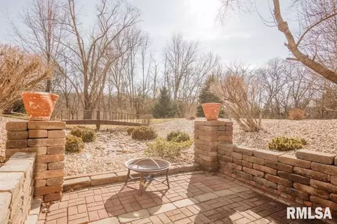 6006 W Deer Trace Ct, Dunlap, IL 61525 photo 31
