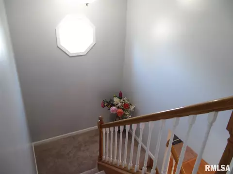 2105 W Brenyn Ct, Dunlap, IL 61525 photo 19