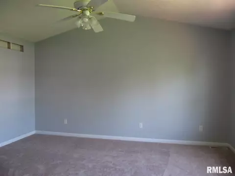 2105 W Brenyn Ct, Dunlap, IL 61525 photo 20