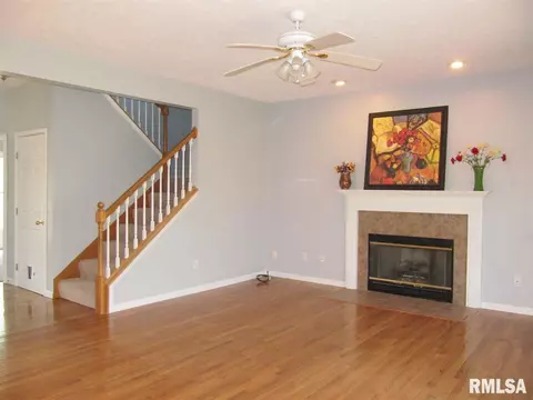 2105 W Brenyn Ct, Dunlap, IL 61525 photo 11