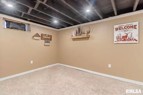 307 Monroe, Henry, IL 61537 photo 22