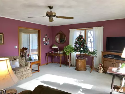 380 E Broadway St, Ipava, IL 61441 photo 10