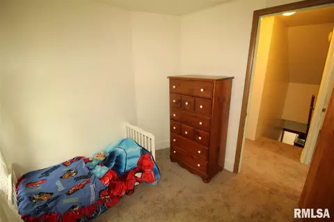 636 Maple Ave, Minonk, IL 61760 photo 33