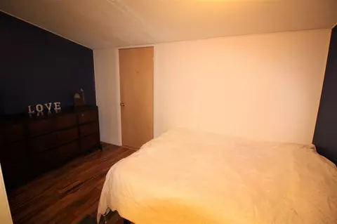 636 Maple Ave, Minonk, IL 61760 photo 25