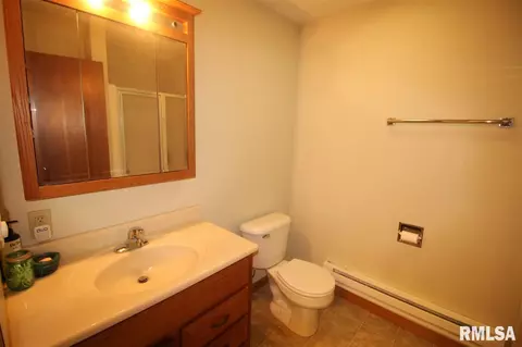 636 Maple Ave, Minonk, IL 61760 photo 28
