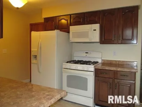 1924 E Princeton St, Peoria, IL 61614 photo 4