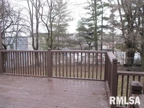 1924 E Princeton St, Peoria, IL 61614 photo 33