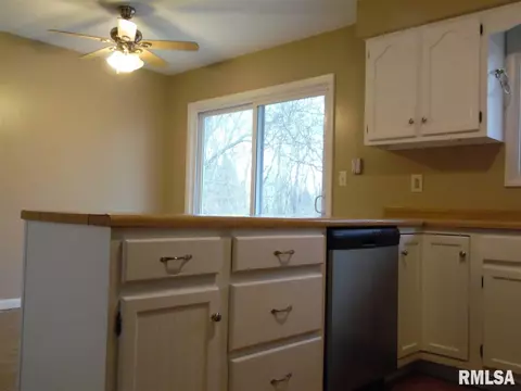 4308 S Newcastle Ct, Mapleton, IL 61547 photo 7