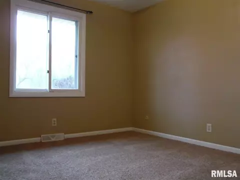 4308 S Newcastle Ct, Mapleton, IL 61547 photo 12