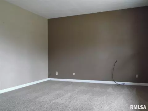 4308 S Newcastle Ct, Mapleton, IL 61547 photo 3
