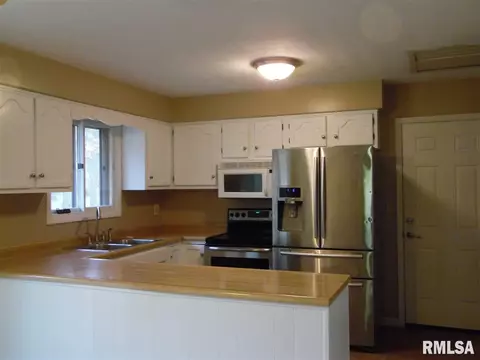 4308 S Newcastle Ct, Mapleton, IL 61547 photo 5