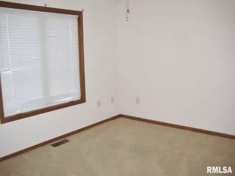 209 Easy St, Washington, IL 61571 photo 10