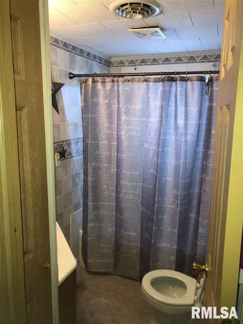 1250 W Main St, Fairview, IL 61432 photo 8
