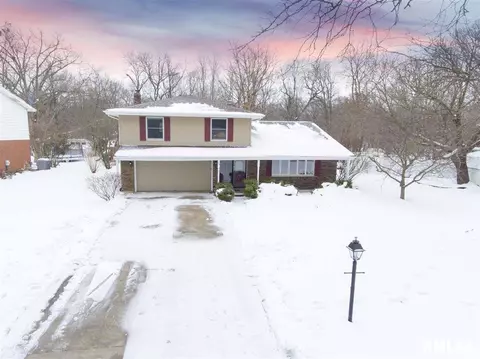 129 Chestnut Dr, Morton, IL 61550 photo 33