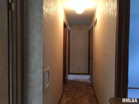311 E Pearson, Eureka, IL 61530 photo 25